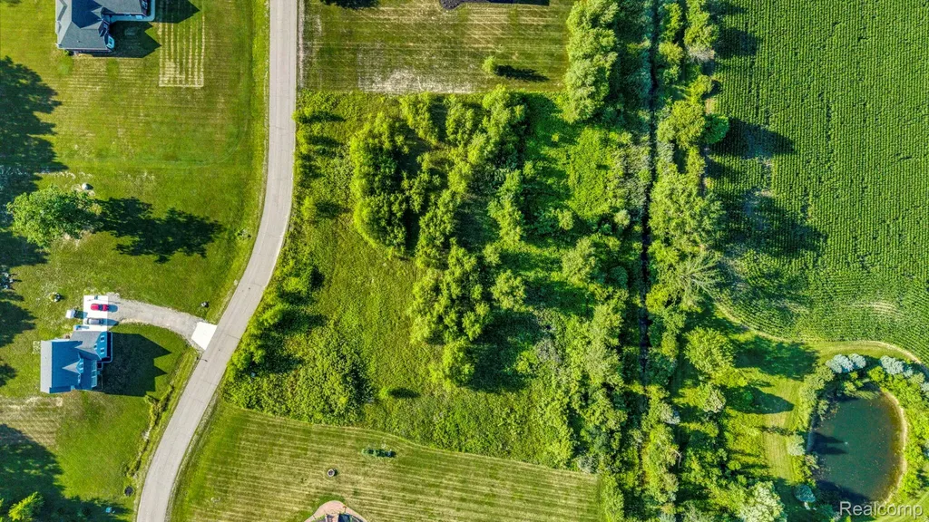 73160 Castle Court Armada Township MI 48005