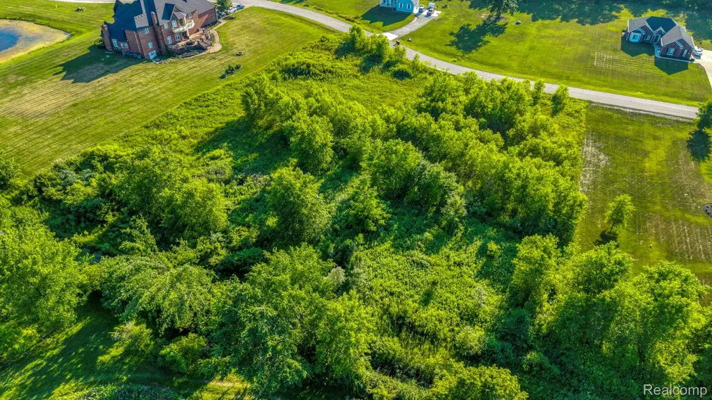 73160 Castle Court Armada Township MI 48005