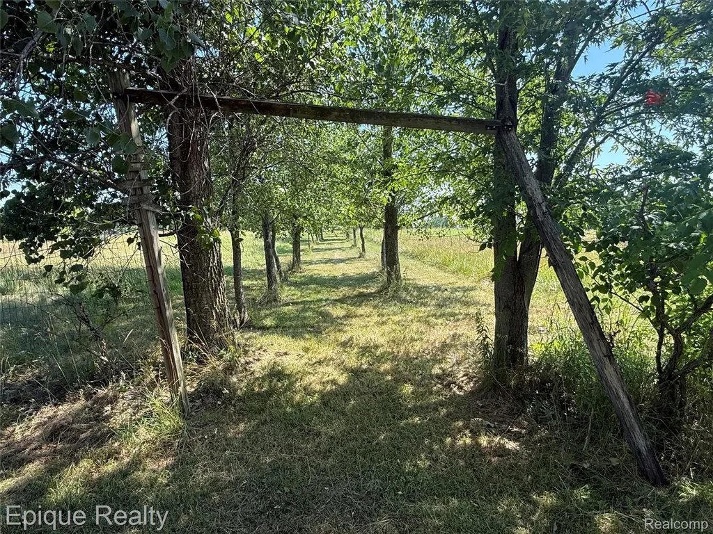 12168 W Lennon Road Clayton Charter Township MI 48449