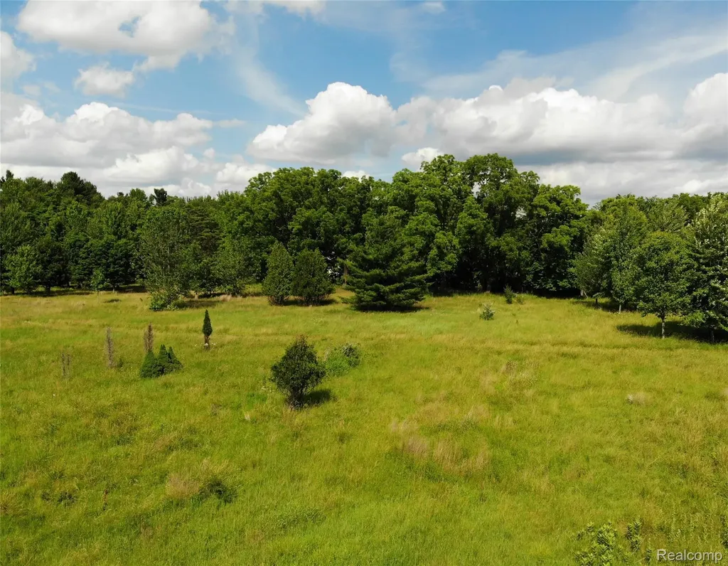 20918 Clark Road Sumpter Township MI 48111