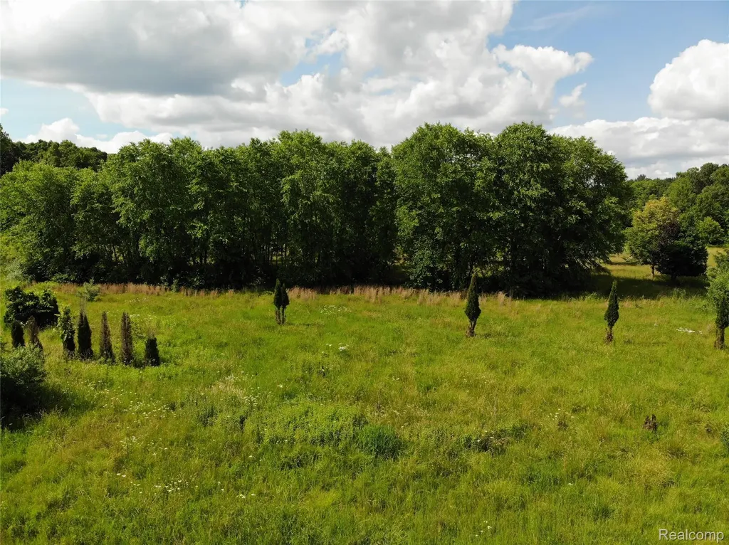 20918 Clark Road Sumpter Township MI 48111
