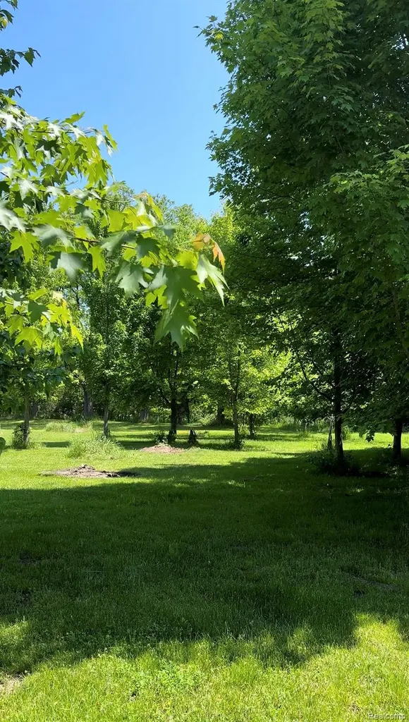 20918 Clark Road Sumpter Township MI 48111