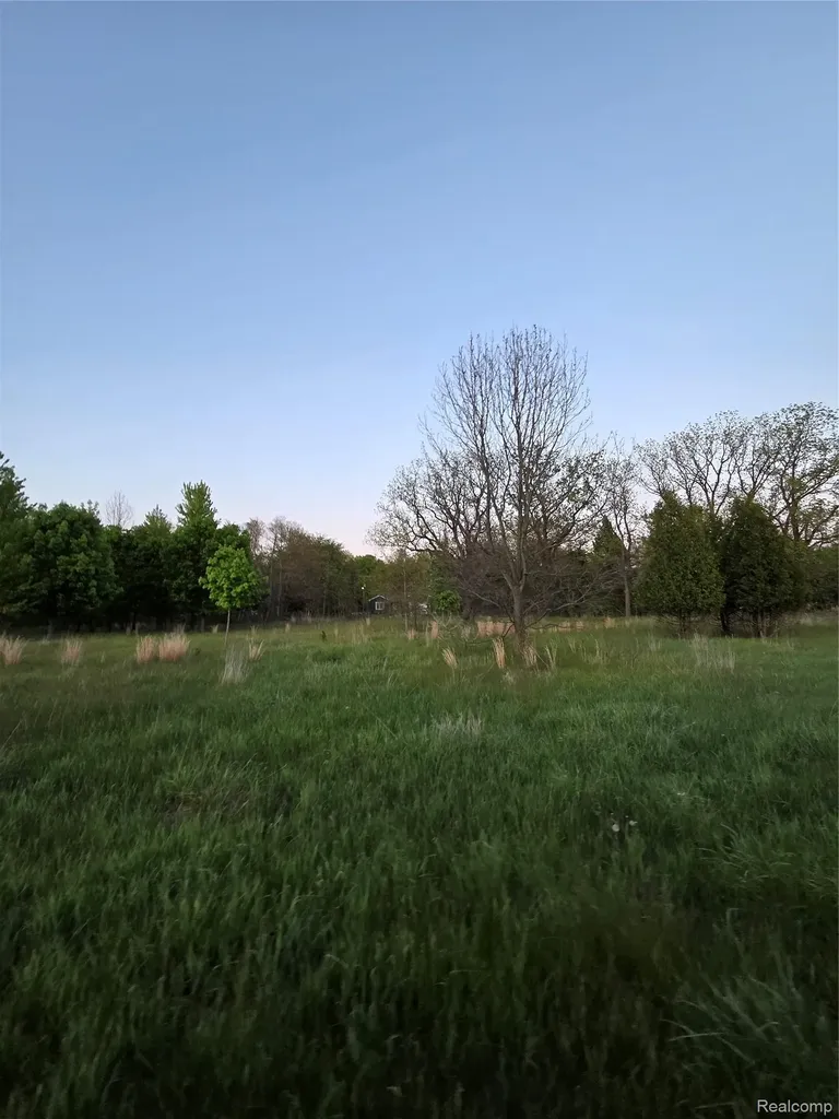 20826 Clark Road Sumpter Township MI 48111