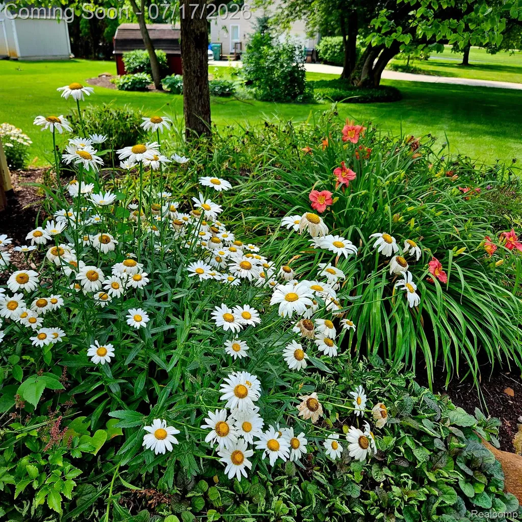 60309 Lamplighter Drive Lyon Charter Township MI 48165