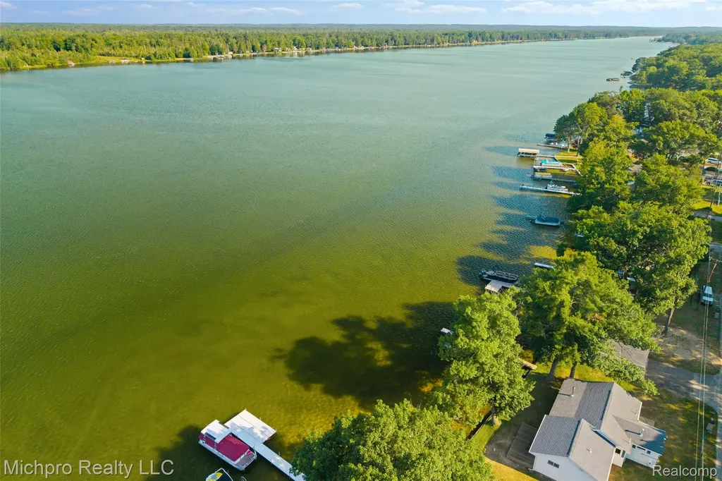 4432 E Cedar Lake Drive Greenbush Township MI 48738