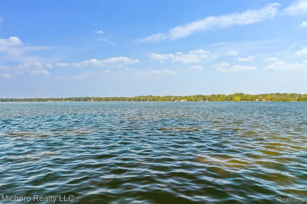 4432 E Cedar Lake Drive Greenbush Township MI 48738