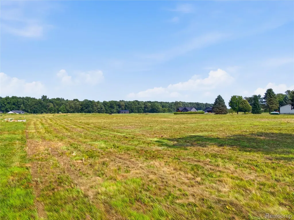 000 Gregory Ridge Unadilla Township MI 48137
