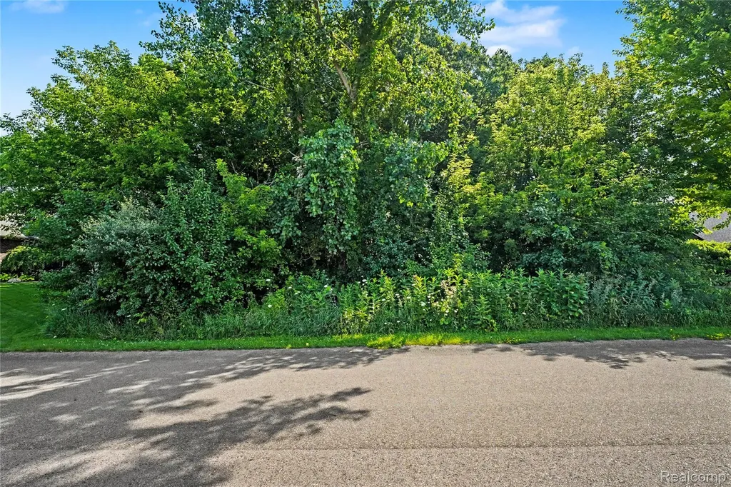 Homesite #15 Olivia Drive Milford Charter Township MI 48381