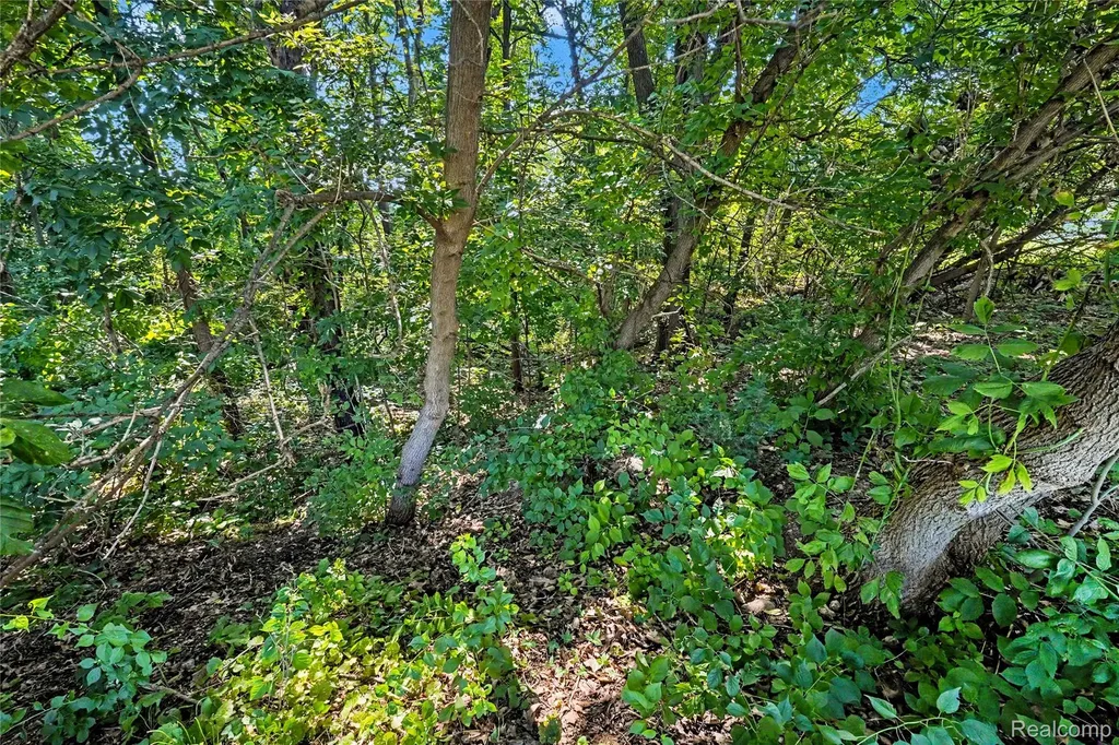 Homesite #15 Olivia Drive Milford Charter Township MI 48381