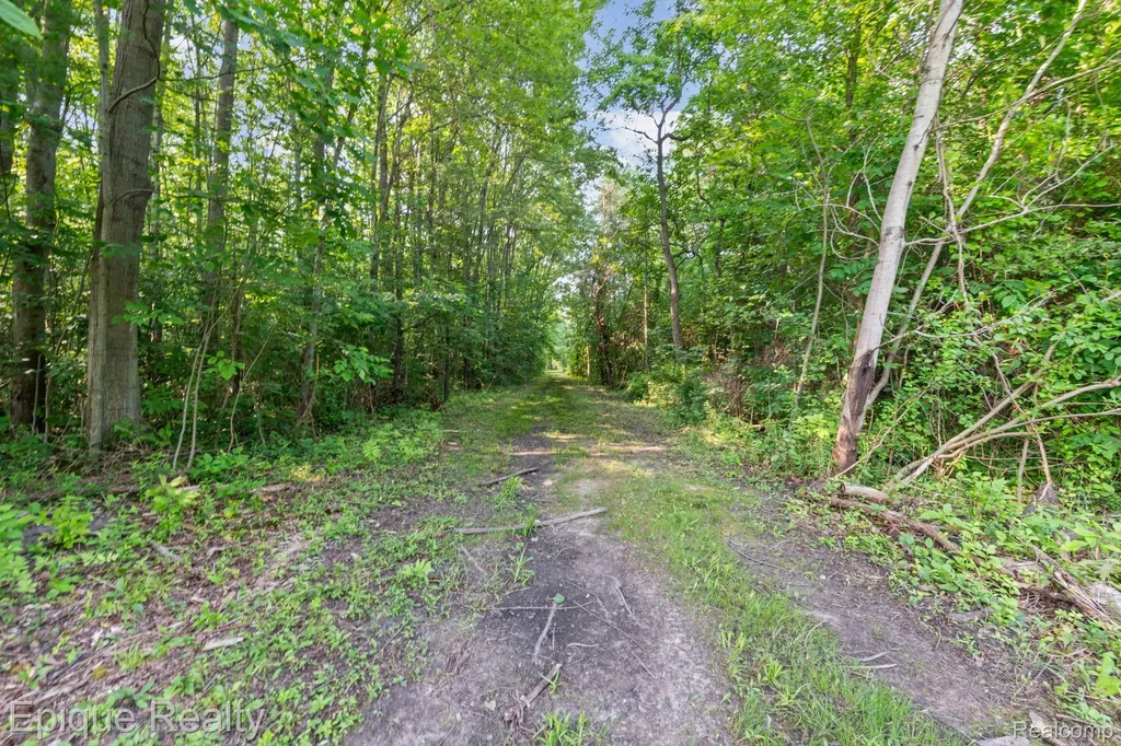 5155 Gratiot Avenue St. Clair Township MI 48079