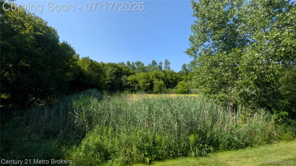 9285 Horizon Drive Richfield Township MI 48423