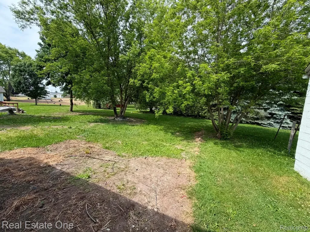 3585 Marcus Street Deckerville Village MI 48427