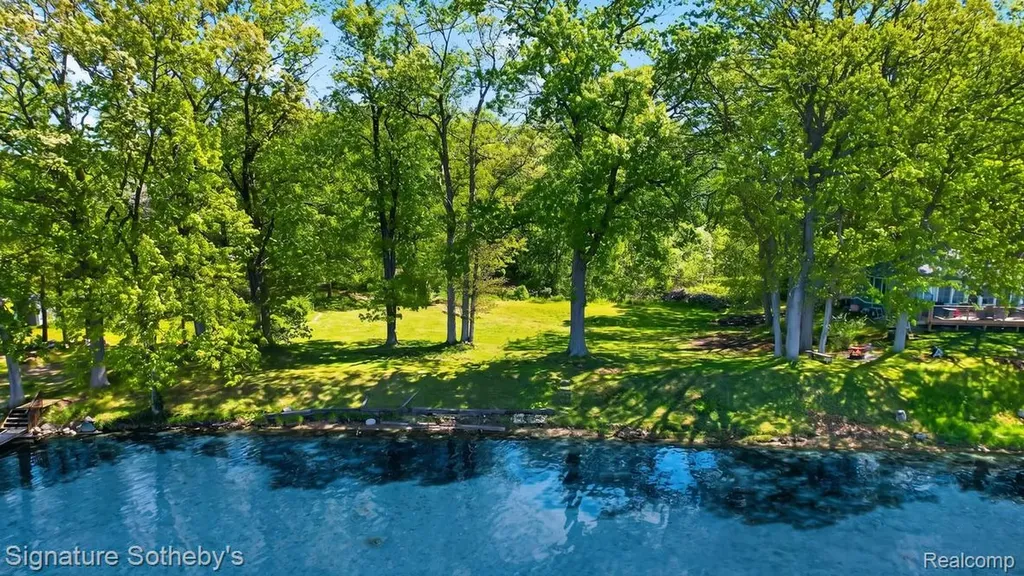 9485 Lakeview Drive Dexter Township MI 48169