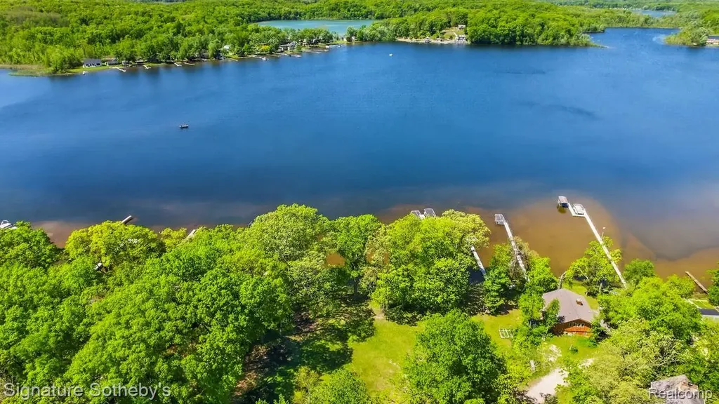 9485 Lakeview Drive Dexter Township MI 48169
