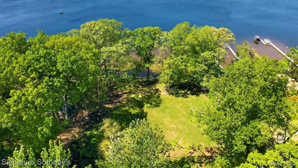 9485 Lakeview Drive Dexter Township MI 48169