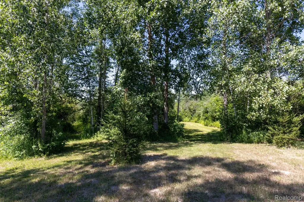 408 Columbiaville Road Deerfield Township MI 48421