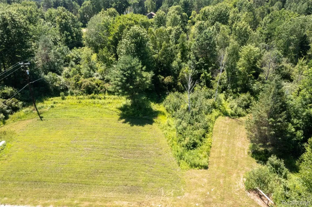 408 Columbiaville Road Deerfield Township MI 48421