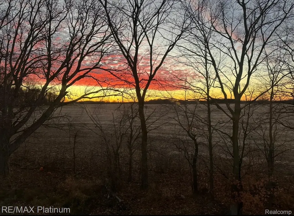 2793 Sycamore River Drive Handy Township MI 48836