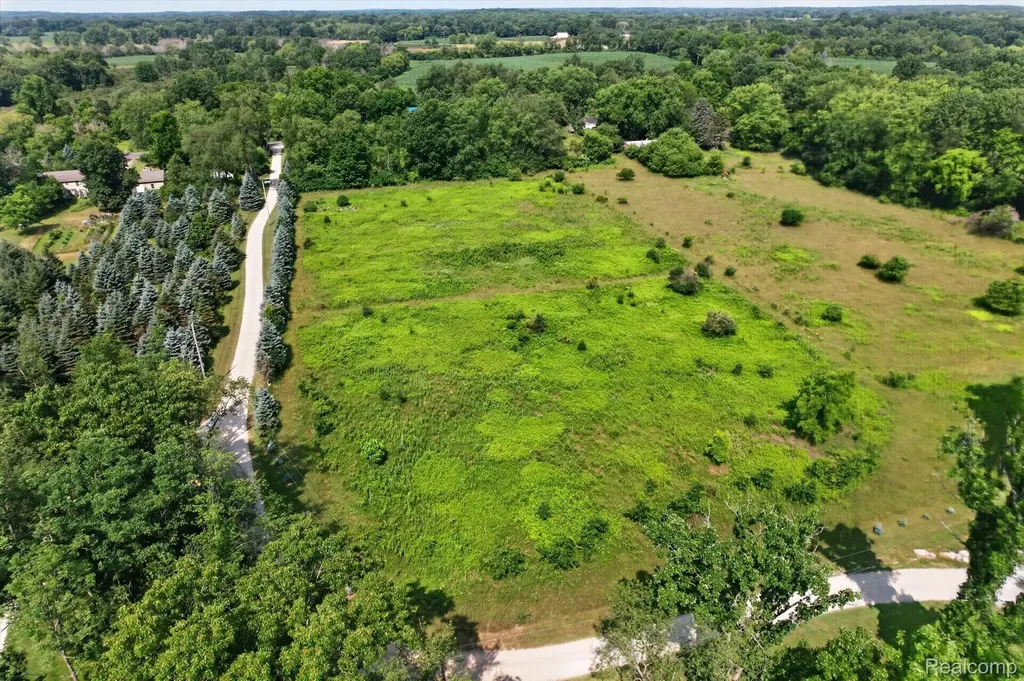 Vl Moscow Road Spring Arbor Township MI 49283