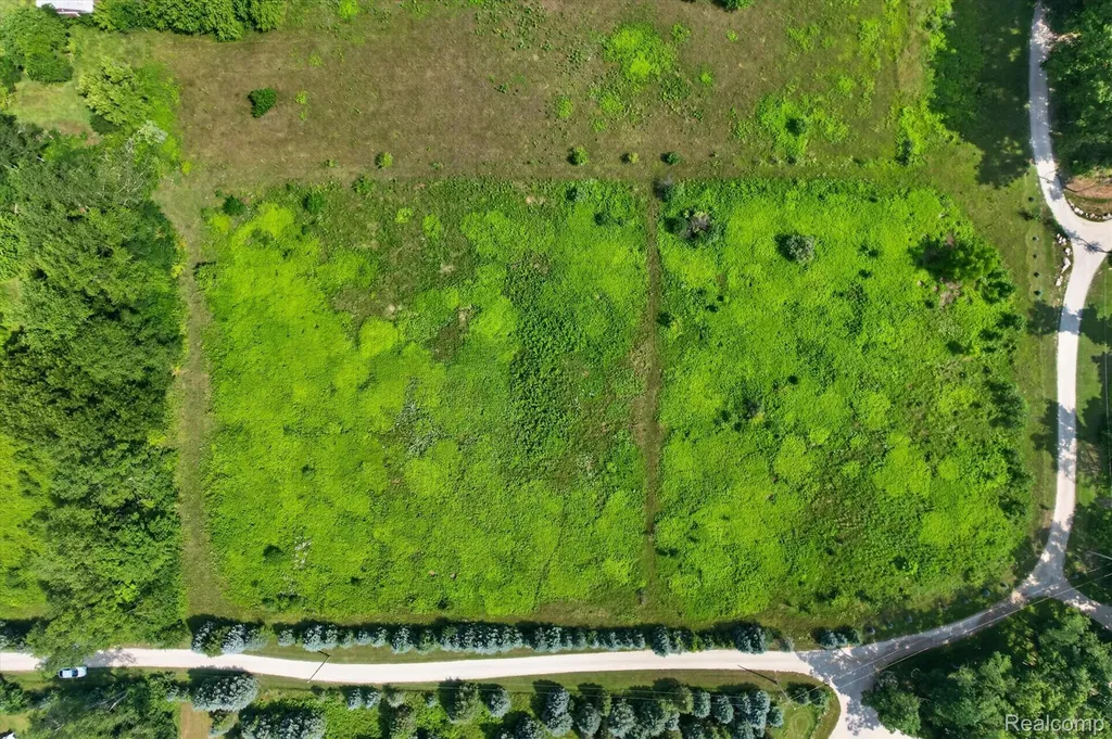 Vl Moscow Road Spring Arbor Township MI 49283