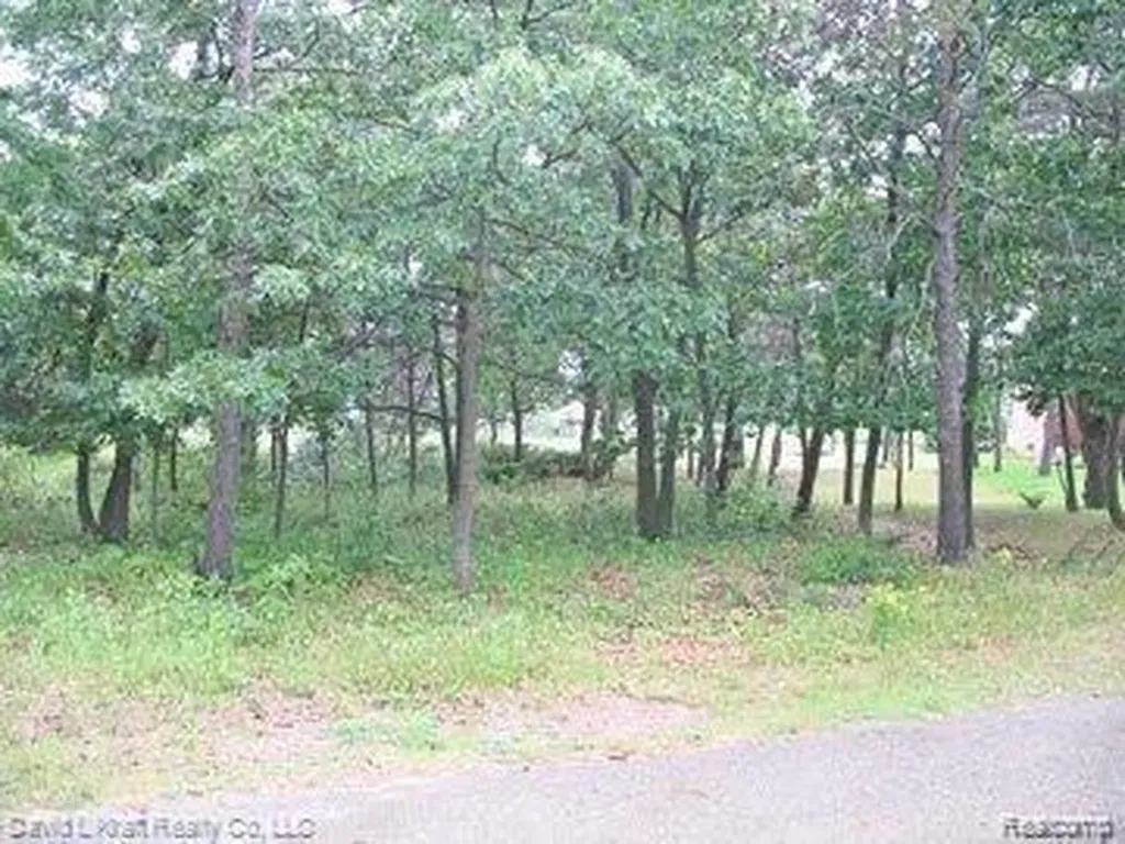 9853 Whispering Pines #37 Caseville Township MI 48755