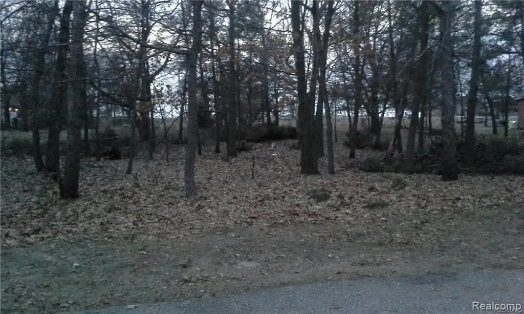 9853 Whispering Pines #37 Caseville Township MI 48755