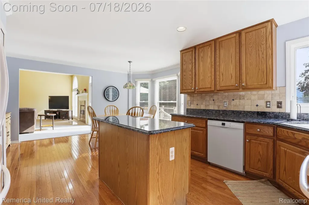 16724 Abby Circle Northville Township MI 48168