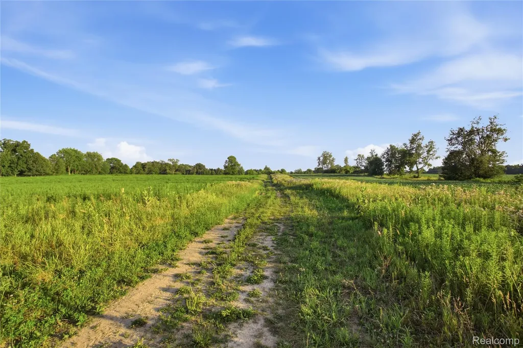 5300 W Allen Road Cohoctah Township MI 48836