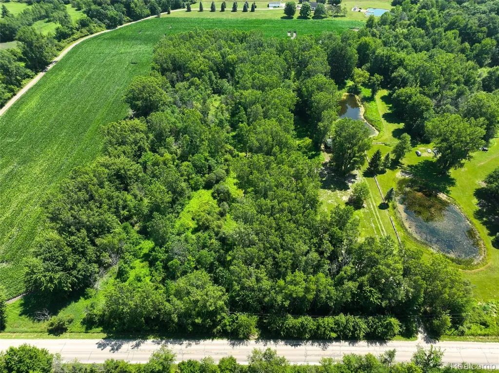 Vacant Land Nicholson Road Fowlerville Village MI 48836