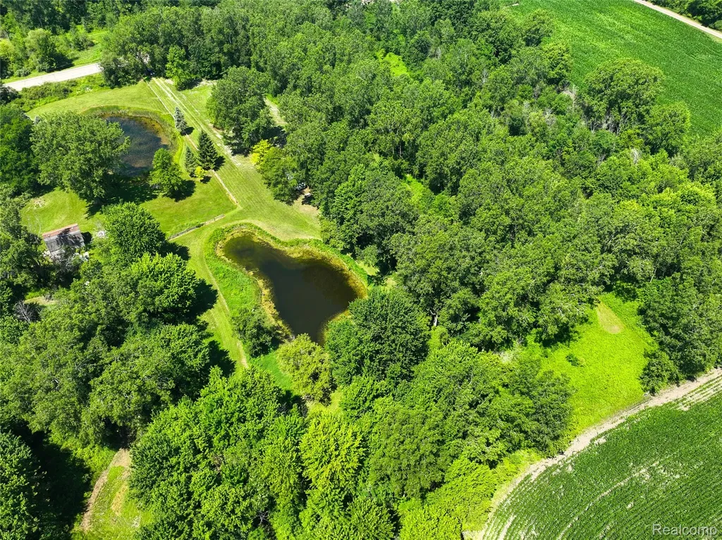 Vacant Land Nicholson Road Fowlerville Village MI 48836