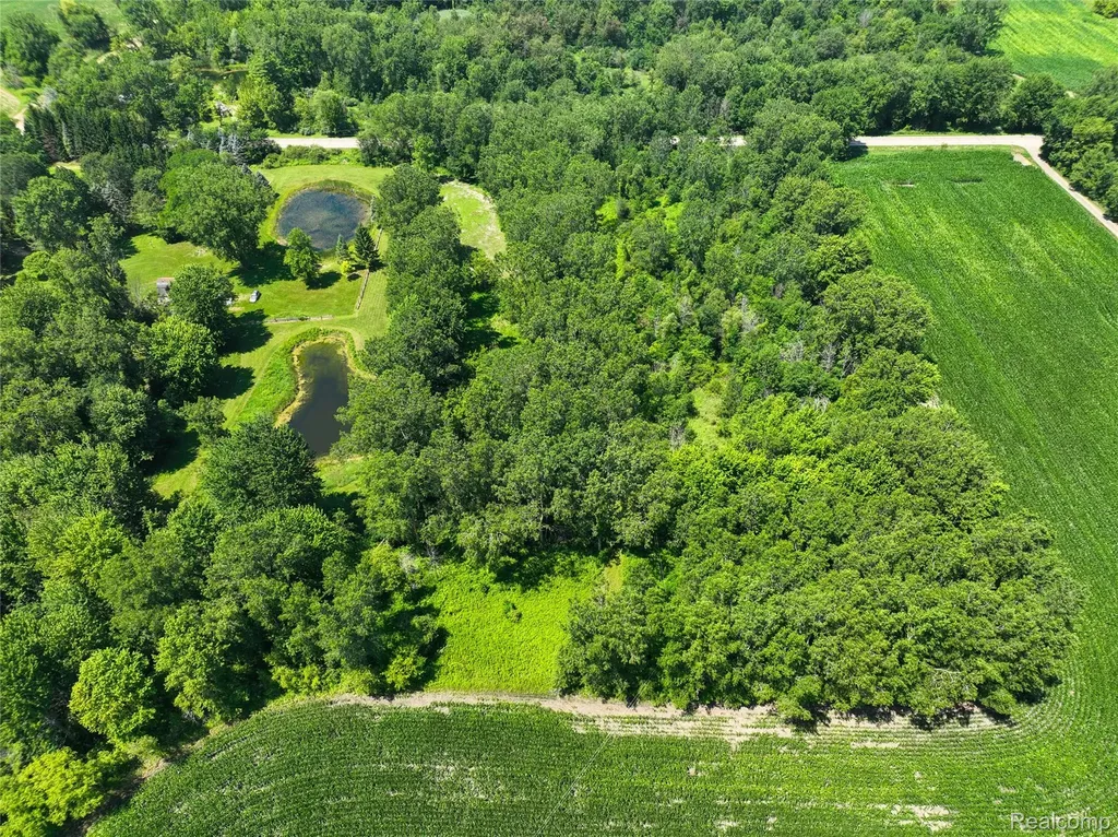 Vacant Land Nicholson Road Fowlerville Village MI 48836