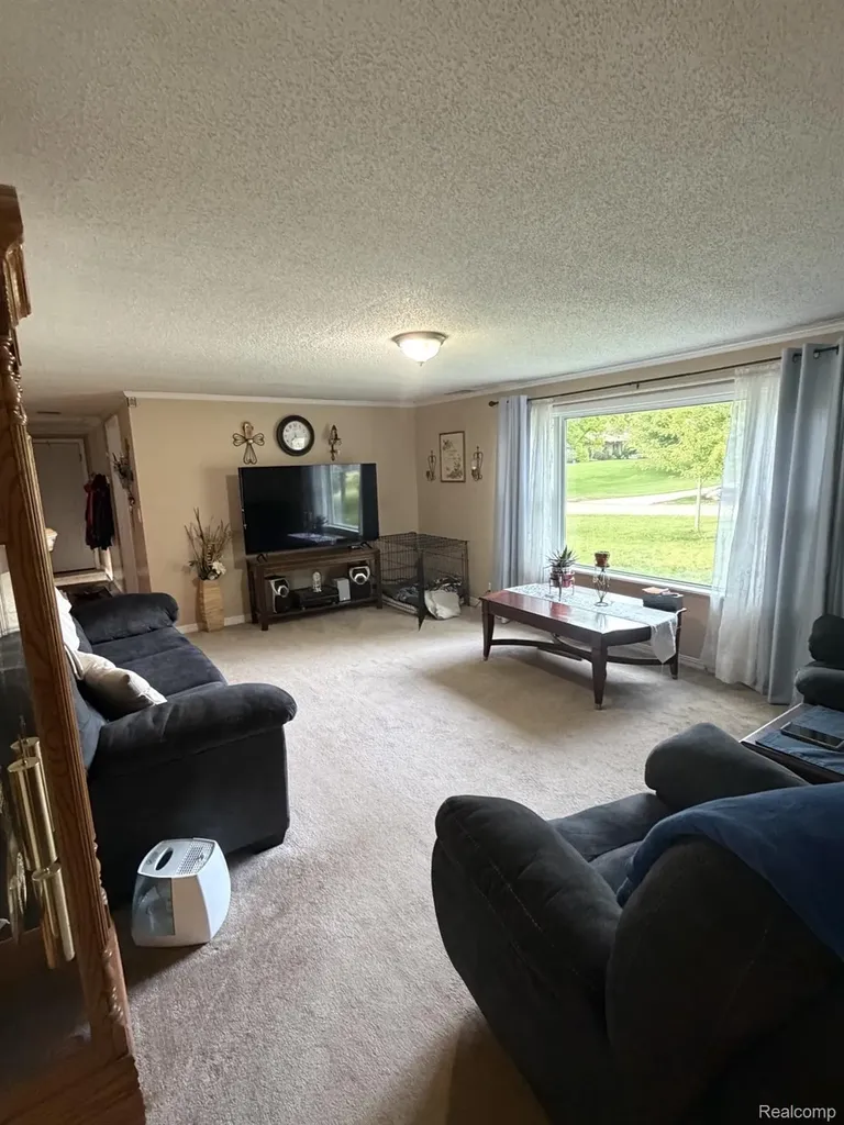 4070 Blood Road Metamora Township MI 48455