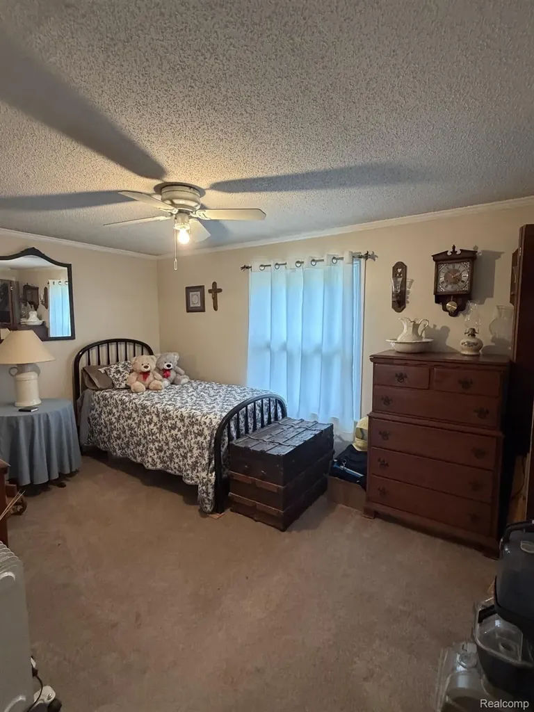 4070 Blood Road Metamora Township MI 48455