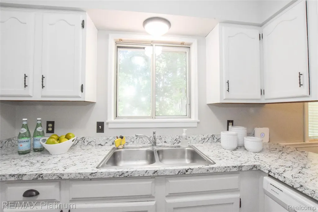 317 Woodlake Drive Brighton City MI 48116