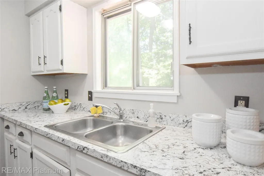 317 Woodlake Drive Brighton City MI 48116