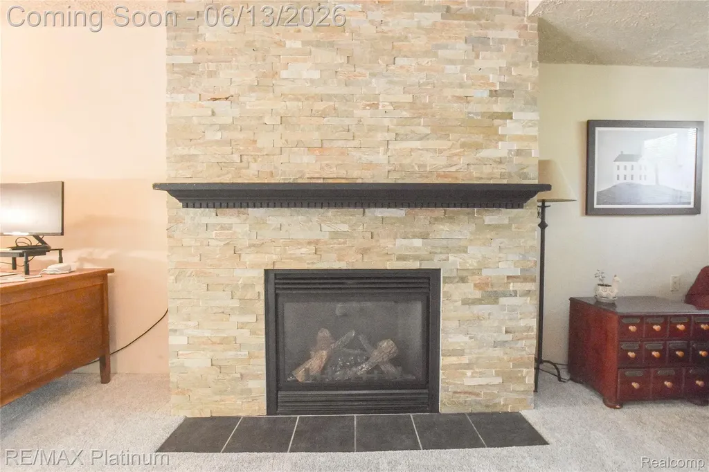 317 Woodlake Drive Brighton City MI 48116