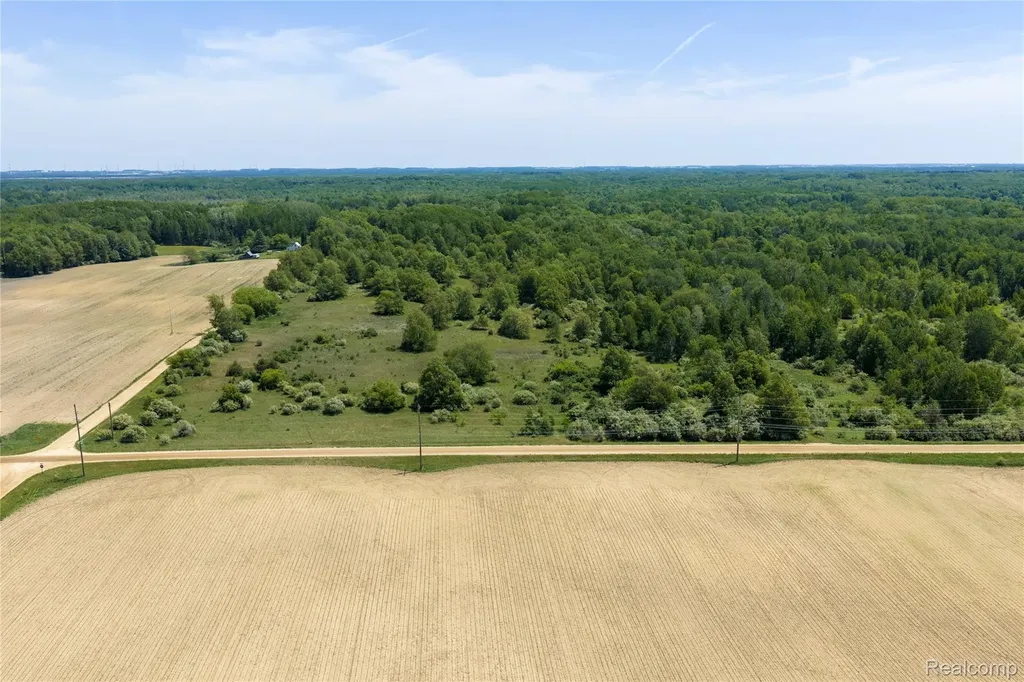 Parcel A Freiburger Road Argyle Township MI 48472