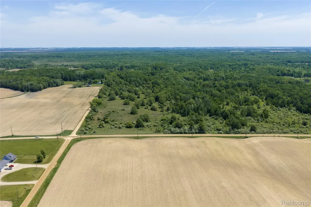 Parcel A Freiburger Road Argyle Township MI 48472