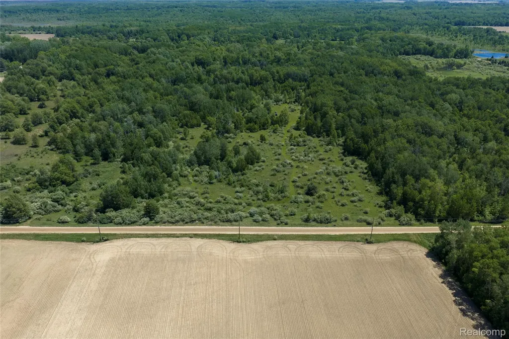 Parcel B Freiburger Road Argyle Township MI 48472