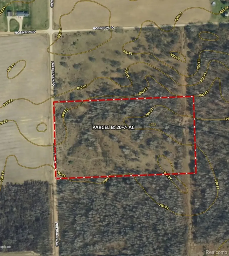 Parcel B Freiburger Road Argyle Township MI 48472