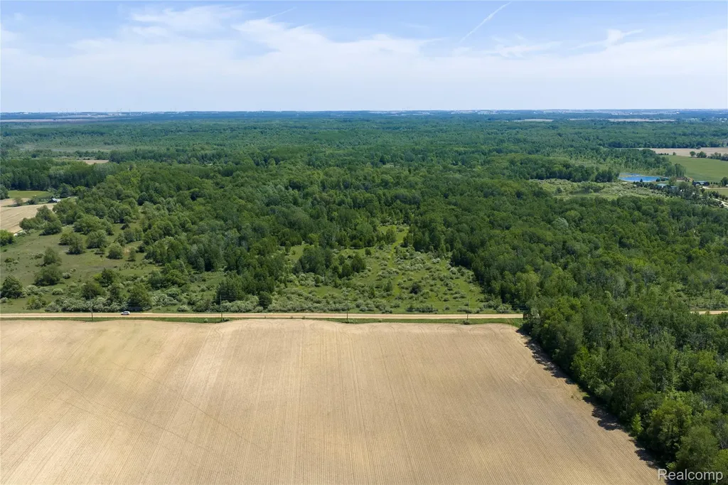 Parcel B Freiburger Road Argyle Township MI 48472