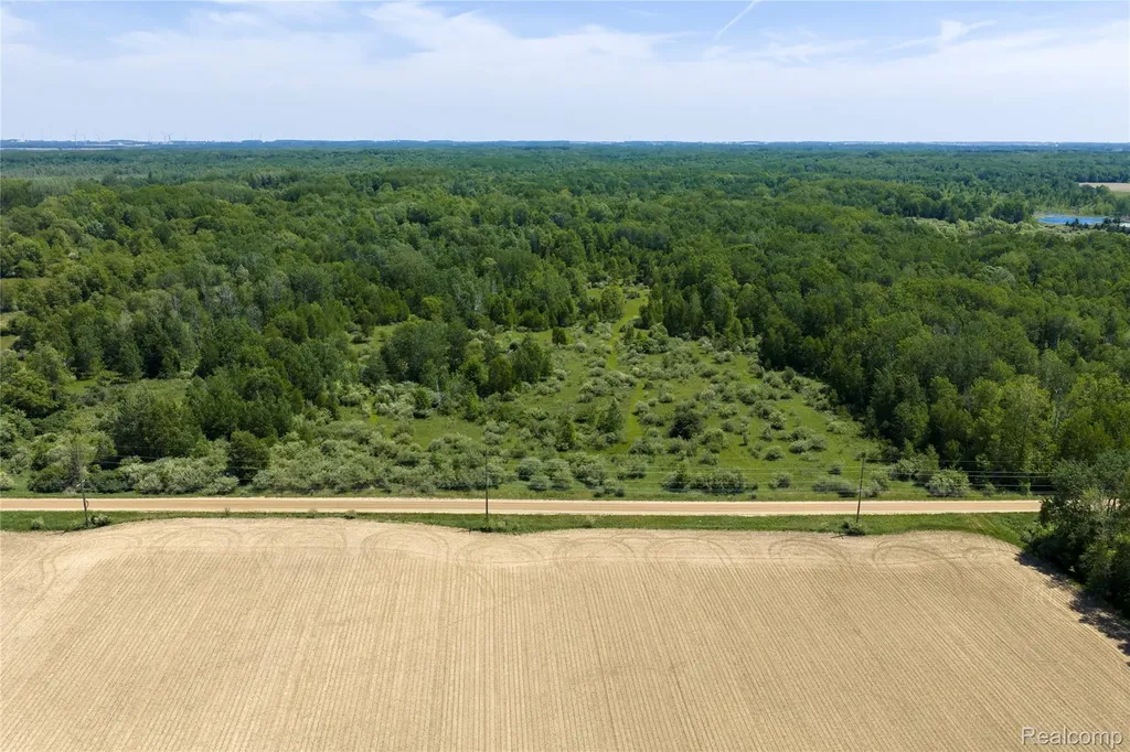 Parcel B Freiburger Road Argyle Township MI 48472