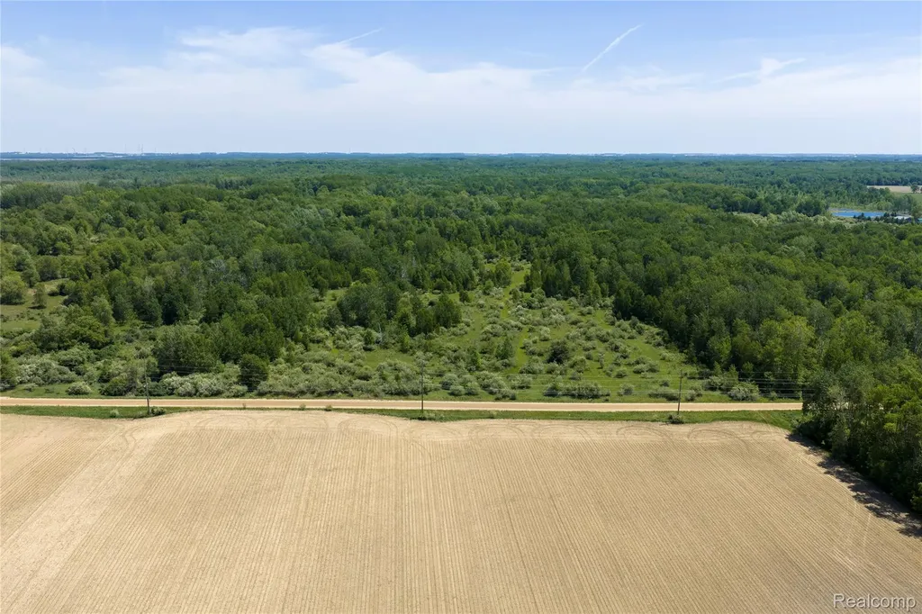 Parcel B Freiburger Road Argyle Township MI 48472
