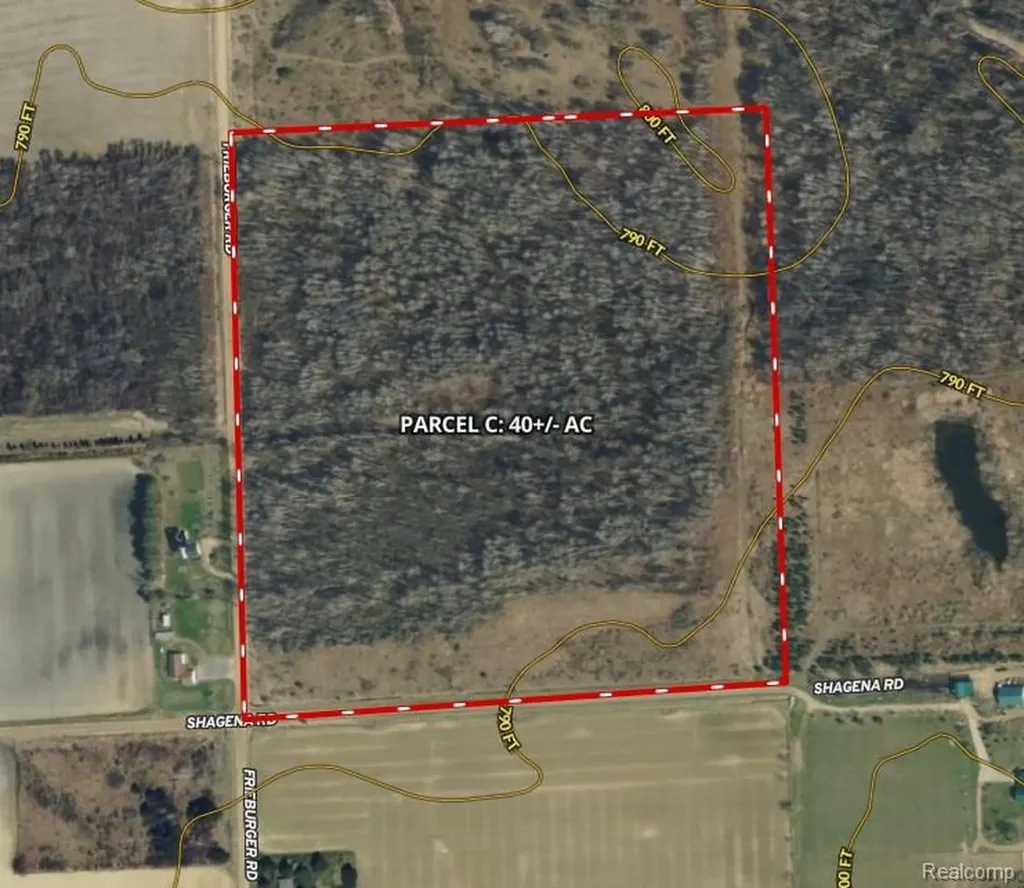 Parcel C Freiburger Road Argyle Township MI 48472