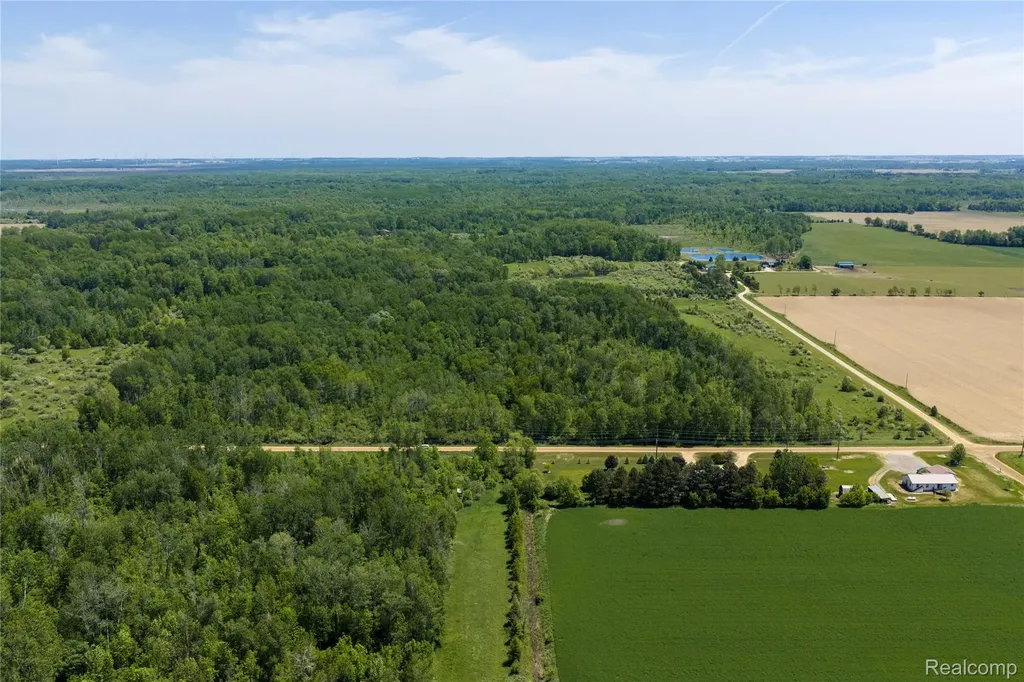 Parcel C Freiburger Road Argyle Township MI 48472