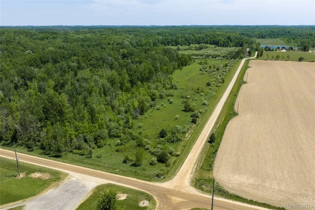 Parcel C Freiburger Road Argyle Township MI 48472