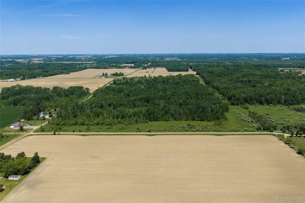 Parcel C Freiburger Road Argyle Township MI 48472