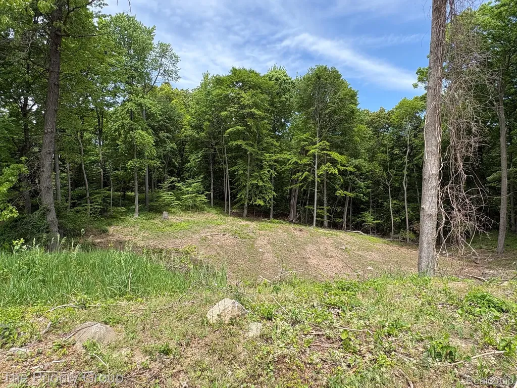 6248 E Crest Forest Court Independence Charter Township MI 48348