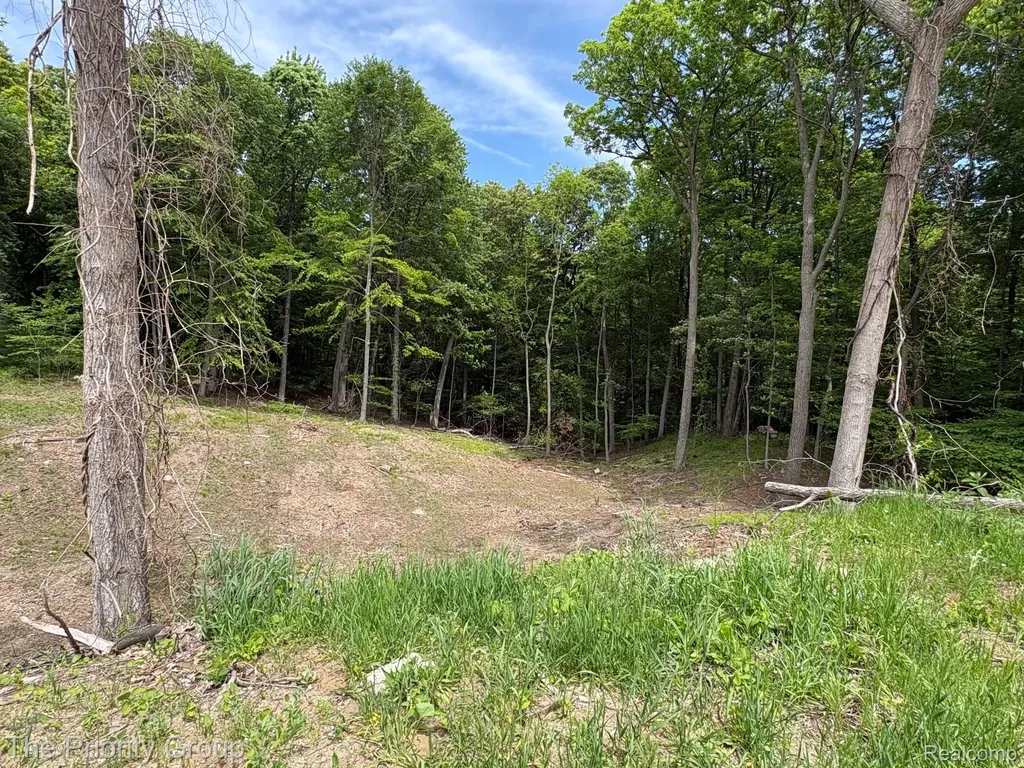 6248 E Crest Forest Court Independence Charter Township MI 48348