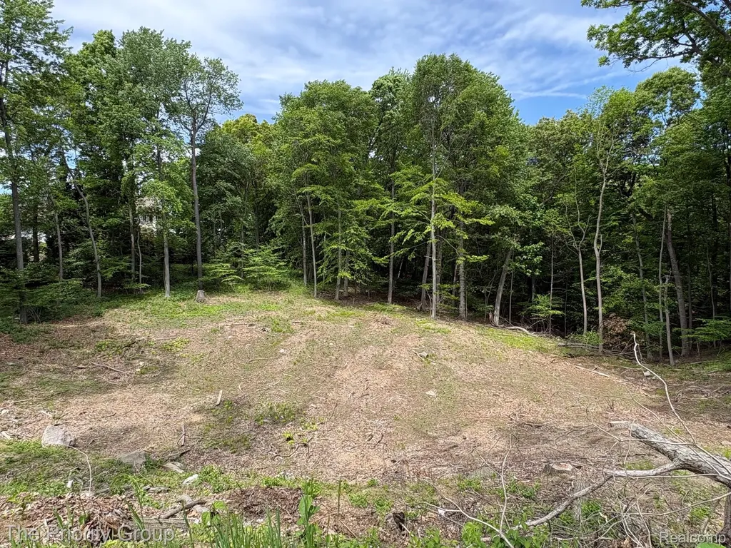 6248 E Crest Forest Court Independence Charter Township MI 48348